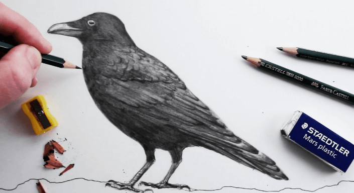 Drawing:4_Kaldny_2q= Crow