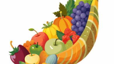 Clip Art:-C6bicirzqe= Cornucopia