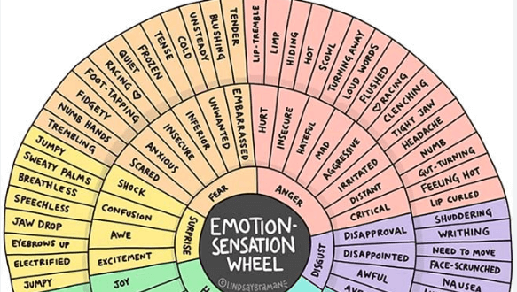 Free Printable:-Bkhhrkamj8= Feelings Wheel Pdf