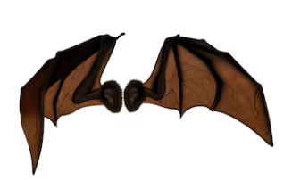 Clipart:1kgtagsg2no= Bat Wings