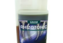 Canna Rhizotonic