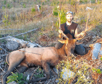 Man Dressed as Deer Gets Shot