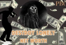 Destroy Lonely Net Worth: A Breakdown of Destroy Lonely's Earnings