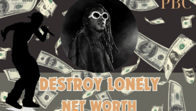 Destroy Lonely Net Worth: A Breakdown of Destroy Lonely's Earnings