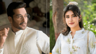 Zulm Drama Cast: Meet the Stars Behind the Story