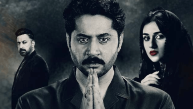 Namak Haram Drama Cast: Iconic Performances in a Timeless Story