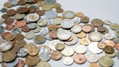 global economy insights unveiled