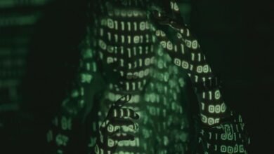 unexpected numerical information revealed