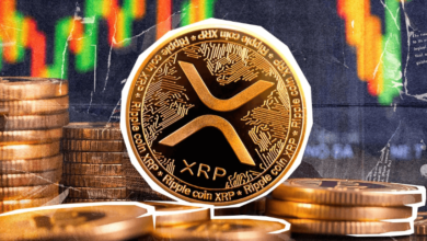 What You Need to Know About XRP Price USDT Fluctuations