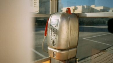 regional phone number insights