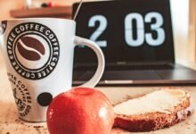 b2k zop3 2 03 5 model guide