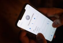 fraud call verification hotline