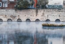 hokroh14210 s distinctive characteristics highlighted