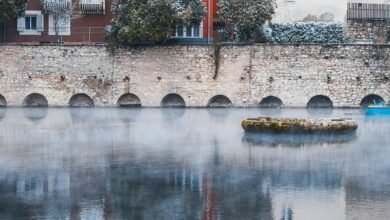 hokroh14210 s distinctive characteristics highlighted