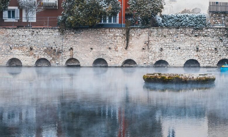 krylovalster characteristics and attributes