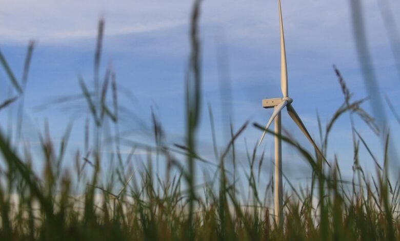 smart digital growth solutions