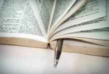 sozxodivnot2234 overview summary