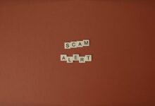 verify calls for fraud