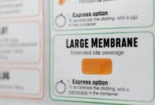 zeppelinargreve comprehensive information provided