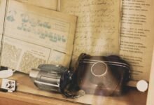 archive review ids varied details enumerated