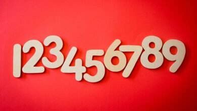 list of several phone numbers provided
