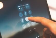 phone numbers listed for identity lookup