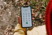 phone numbers listed for lookup
