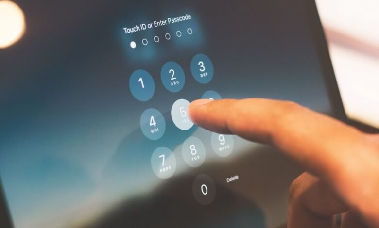 phone numbers observed for lookup