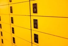 public numbers profile access request