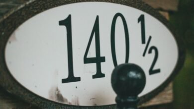registered numbers lookup results summarize details